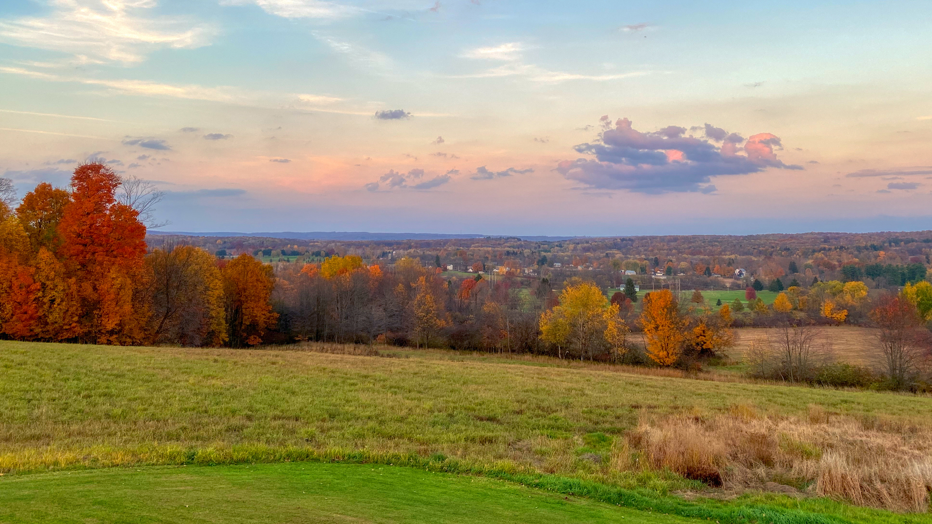 Landscape of meadow with green fields and autumn trees during a sunny day NC